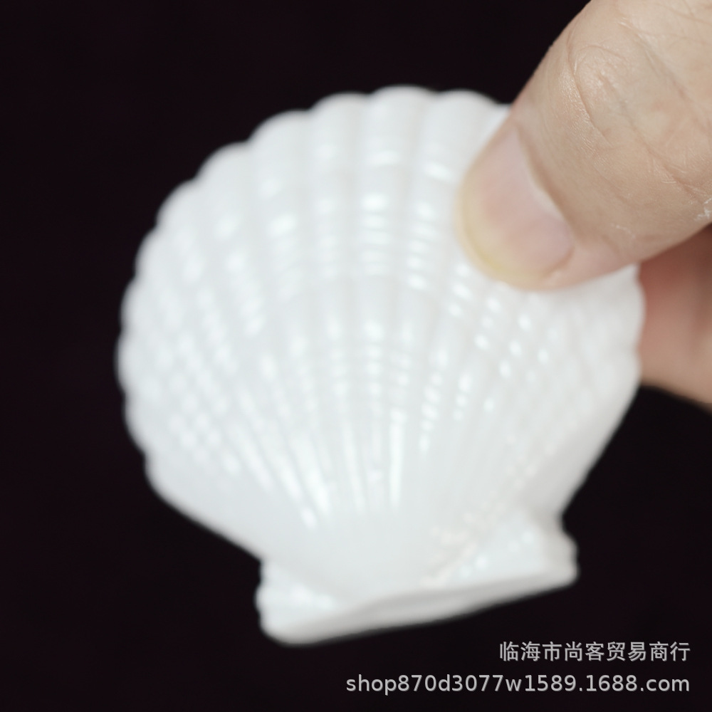 白色贝壳4.jpg