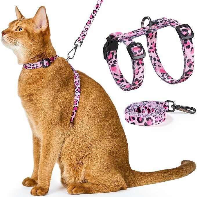 pidan猫咪牵引绳套装H型背带遛猫绳防挣脱链子宠物用品小猫