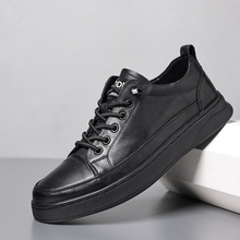 2024�¿���ʿ�^��ţƤ��Ь���e�\�Ӱٴ�r��͸��ܛ��ܛ��һ�����l