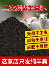 实惠真羊粪】40斤纯羊粪肥农家肥通用养花种菜半斤发酵有机肥花肥