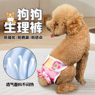 Pet Dog Bellyband Menstrual Pants Female Dog Care Sanitary Pads Safe Puppy Teddy Menstrual Underwear Hygiene