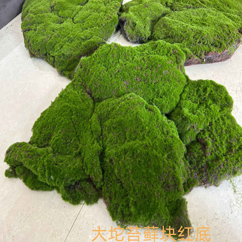 Large moss block red base about 75 cm