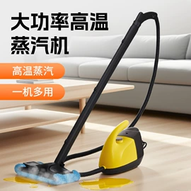 挂烫机;蒸汽清洁机;清洁球/刷