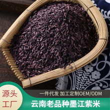 雲南墨江紫米老品種紫米糯黏米長粒米雜糧批發500克紫糯產地直發