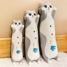 �羳�¿��L�l؈����ɳƤ��ë�q��߹��ЊA����˯������ż�YƷ���l