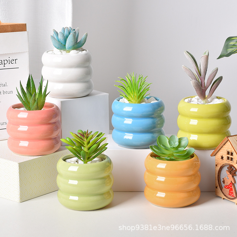 Maceta de cerámica de carne Creativo Mini Macarons Combinación Planta Orquídea Decoración de escritorio Maceta Transfronteriza Amazon al por mayor