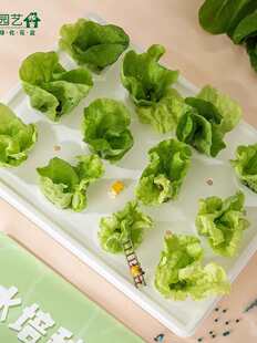 �����~�ןo������ˮ�������׿͏d΢���^���~���~�˹���ϵ�y