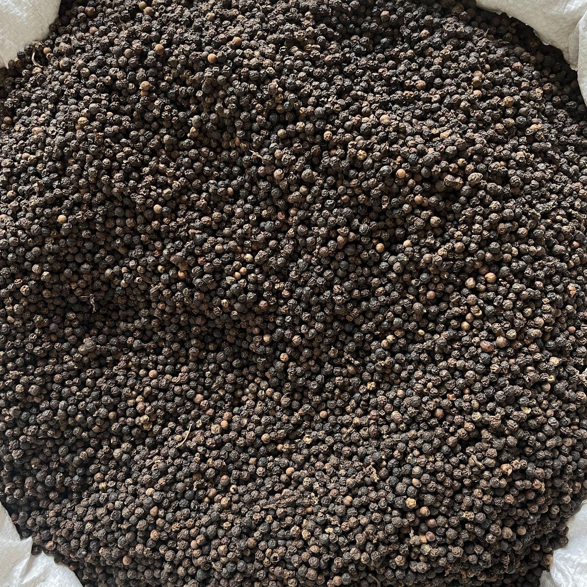 批發正宗海南黑胡椒牛排調味料香料