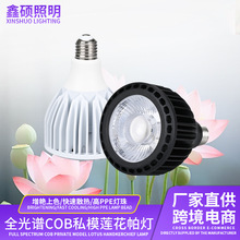 ֲ���˽ģCOBȫ���Vɏ��������Par38�҃ȉK�������mֲ���a���