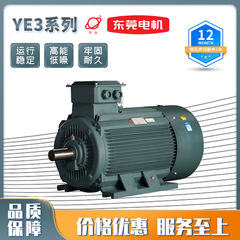 東莞環球電機YE3シリーズ三相非同期モーター東莞電機メーカー直販75-550KW