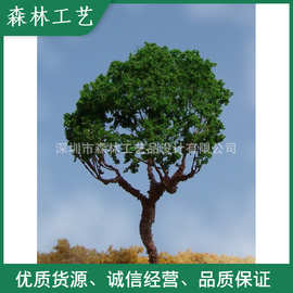 学生模型教材 火车模型树 沙盘模型树  NW012
