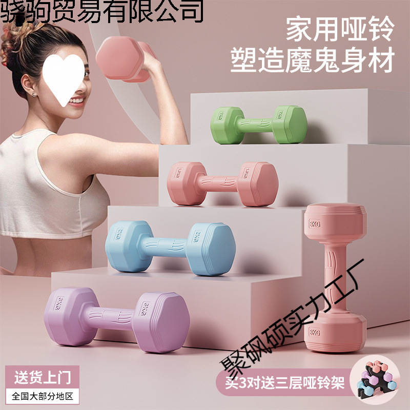 Dumbbells for Women, Fitness Equipment for Home, Slim Belly Barbell, Kettlebells, Children, Teenagers, Female Small Dumbbells, a Pair