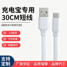 TPE面条线typec扁线30cmType-c充电线纯铜配机线定制2A快充