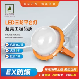 防爆灯;道路照明灯;高杆灯