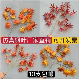 ���~�t���~�uצ���y���~��ͩ��ͩ���~��Ǘ��~�Ә�֦�������~