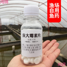 庆大霉素鱼用水族锦鲤炸鳞烂身烂尾烂鳍充血鱼缸水族鱼