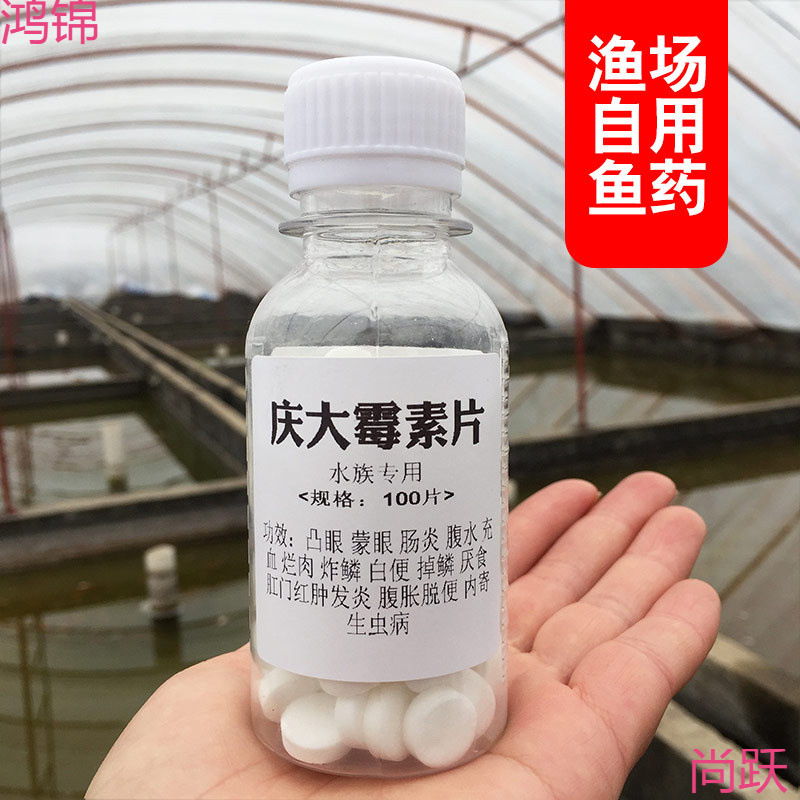 庆大霉素鱼用水族锦鲤炸鳞烂身烂尾烂鳍充血鱼缸水族鱼