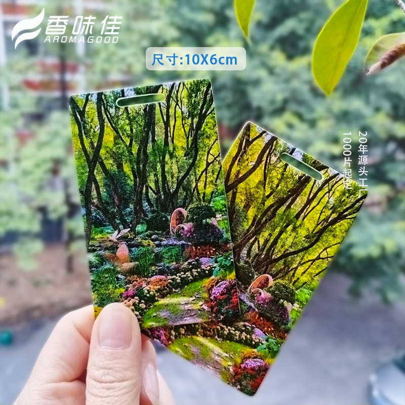 포레스트 스타일 싱글 [무향]