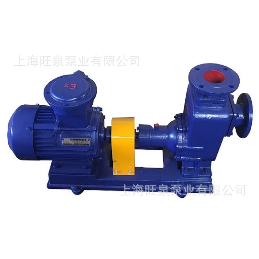 �Ϻ���ȪCYZ����ʽ�����ͱá�100CYZ-A-20�����ͱ�