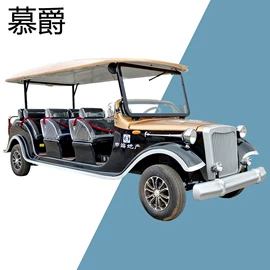 电动观光车;高尔夫球车;新能源汽车
