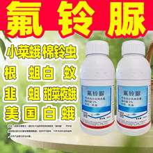 5%������÷�����׶���{С�˶ꌣ�Ú��x�����ǌ���ș��Ʒ�rș