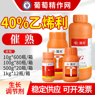 ����40% ��ϩ�����섩�޻���������ˮ���㽶�޻�ֲ�����L�{����