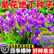 �ϻ��ض��N���ļ��Nֲ����ș�ÿ�ض��N��ͥԺ���N�Ӻû������׷N