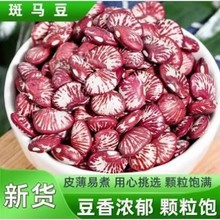 5�����������������������Ӻ�ܿ����ũ�����ʻ��춹����������