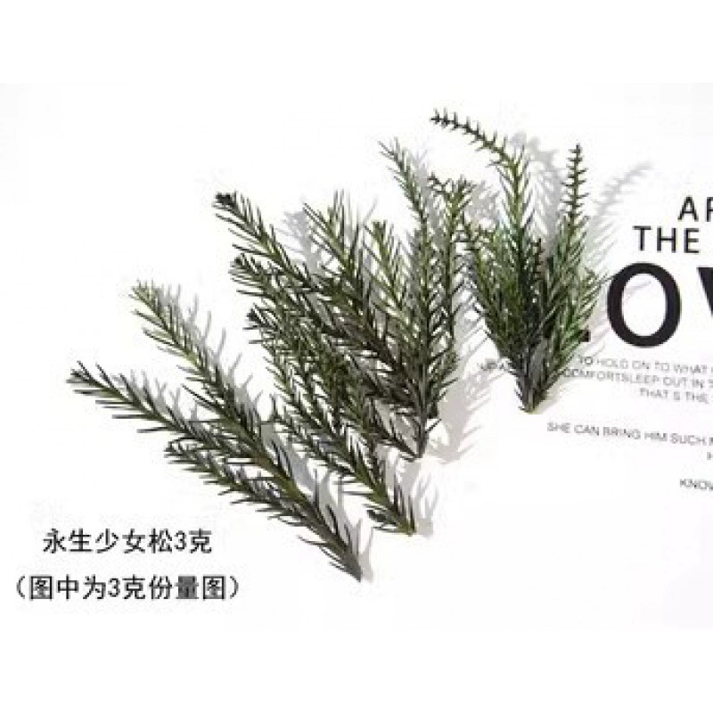 Organic sample, photo frame handmade, Christmas materials set, DIY