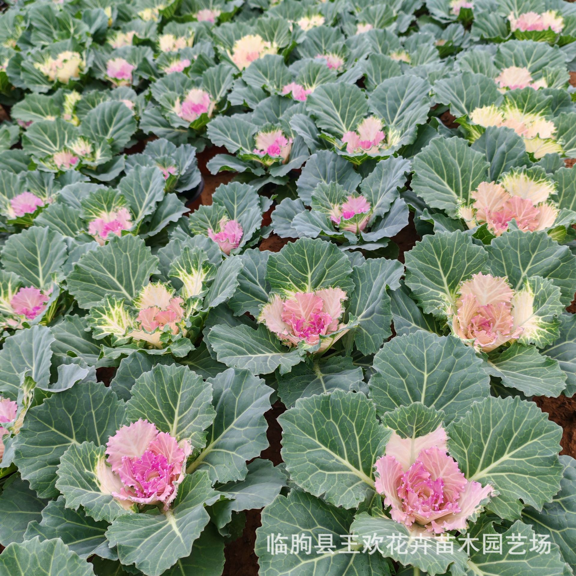 bf4ab76a-1035-4329-bbe3-366400