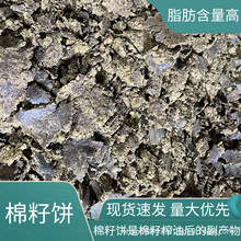 �F؛��������Rţ���������ʳ�þ��ЙC����