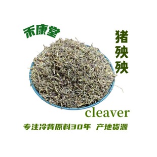 ���l ��؛�i���� cleavers ���ɲ� ������ �����䱳ș�� ����ă�