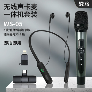 Huayi Voice Ws05 Wireless Sound Card Microphone All-In-One Set Wireless Headphones Suitable for Live Singing