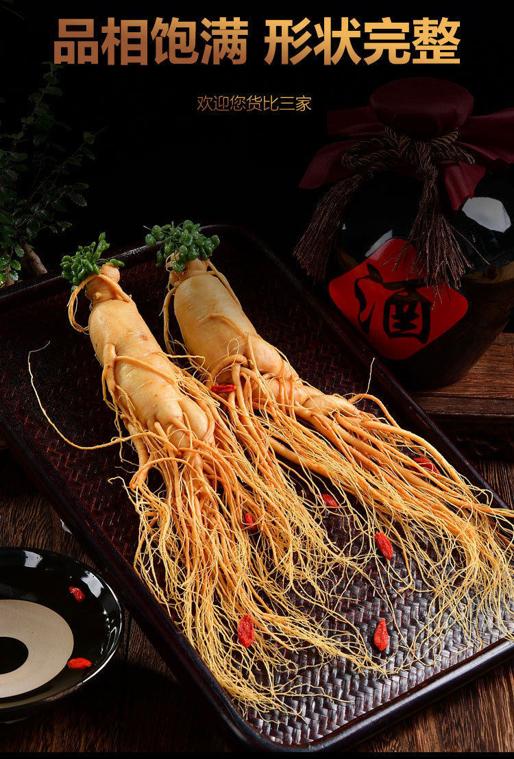 Fresh Ginseng Root Extra Large Single Piece Changbai Mountain Ren Shen for Wine Infusion and Cooking specifications