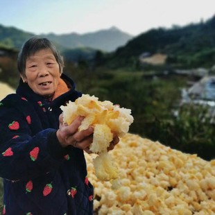 ɢ�b500g�S����a��ֱ�l���︻���ЙC�Օ��y���o���؛���l�r�aƷ