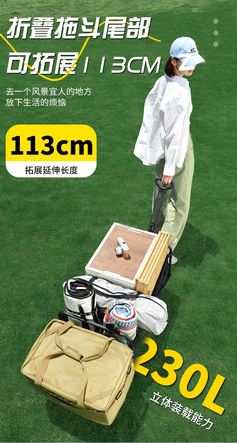 cec91b8d-cf27-4b60-84ed-58cdf057d798.jpe