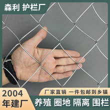 �羳�����Bֳ���ھW�B�uţ����o�W���x�����o�ھW���P��\�F�z�W