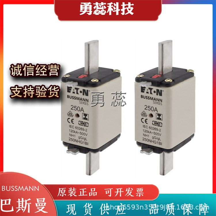 快速熔断器    224NHG1BI   250NHG1BI   50NHG1BI-690