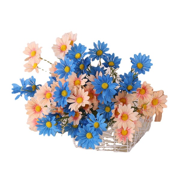 Simulation 5 Dutch chrysanthemums chamomile gyosenic daisy Posal…