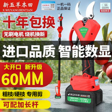 �M�ڟoˢ늄Ӽ���������늄���֦��������֦�@�־G���޼�늼���