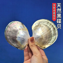 ��Ȼ����ؐ�ڵ�ؐ����ؐ���ͱPؐ�������b�Ʒ�ֹ�����ԭ����