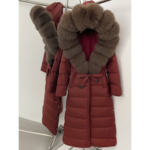 2025¿ƽ羳ëIBñqŮL^ϥϵ@