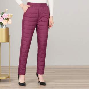 2023�궬����qѝ�⴩�Ӻ�����@�������ꋌ���b�����q��