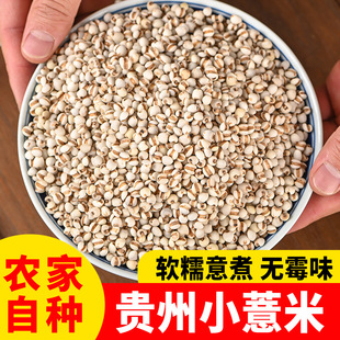 �����d��޲����250g �F��С޲����Ʒ�N������ָë��������ţ����