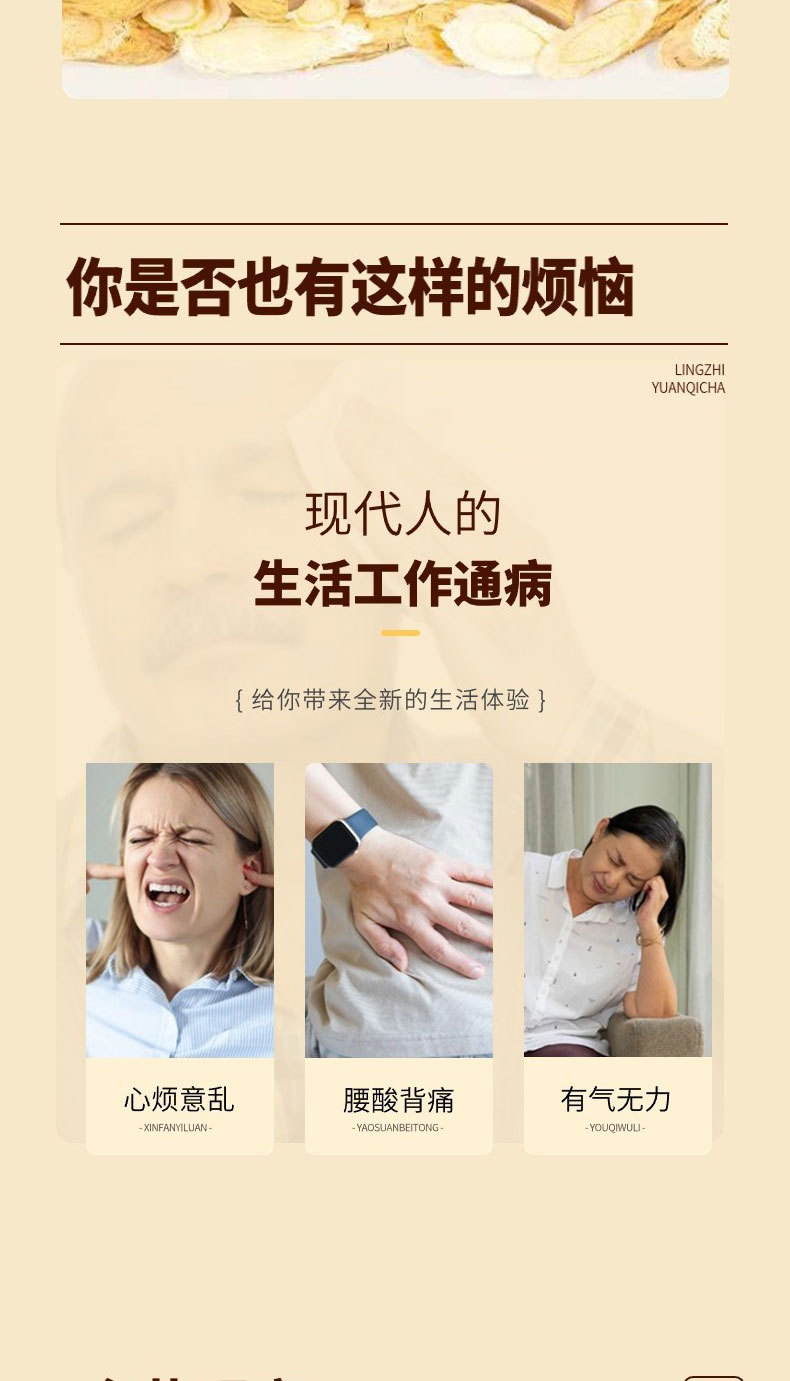Lingzhi Vitality Tea Ling Zhi Yuan Qi Cha Herbal Tea Bags with Codonopsis Astragalus and Ginseng 30g 10 Bags in use