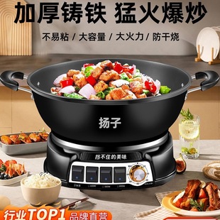 Wholesale Yangtze Electric Wok Household Multi-Functional Steaming, Cooking, Frying and Stewing Electric Cooker All-In-One Electric Hot Pot Cast Iron Wok