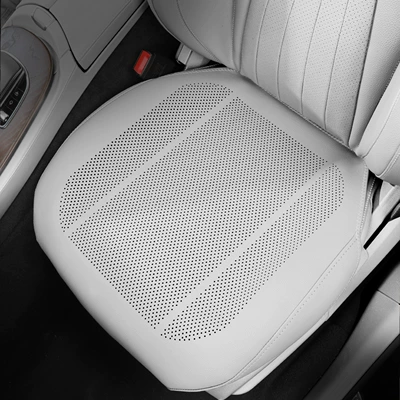 Perforated and Breathable Car Seat — Seat cushion, seat cover - tesla-white-one-piece-of-front-seat-cushion