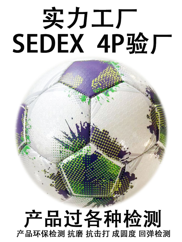 Fútbol profesional Fútbol Campus Fútbol Promoción Fútbol Adulto Juvenil Rugby World Cup Fútbol