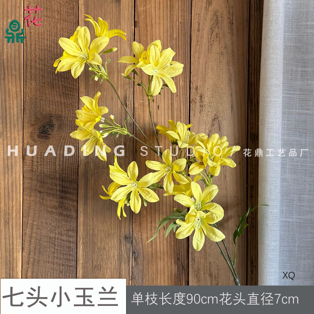 Hoa mộc lan nhỏ bảy đầu XQ màu vàng