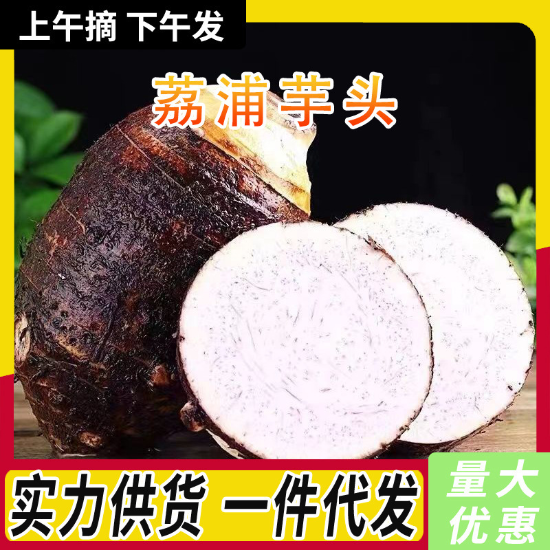 Fresh Seasonal Vegetables Wholesale from Liuzhou, Guangxi: 1.0-4.5kg Farm-Grown Glutinous Taro, Whole Box with Free Shipping